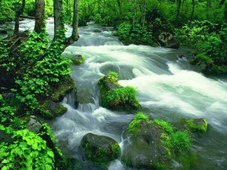 paysage